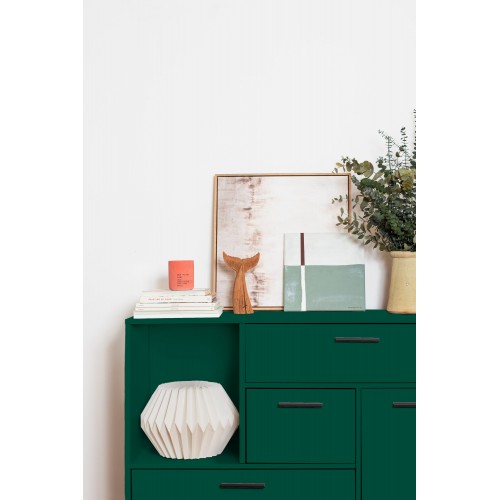 GLOSS PAINT GP-06 DARK GREEN